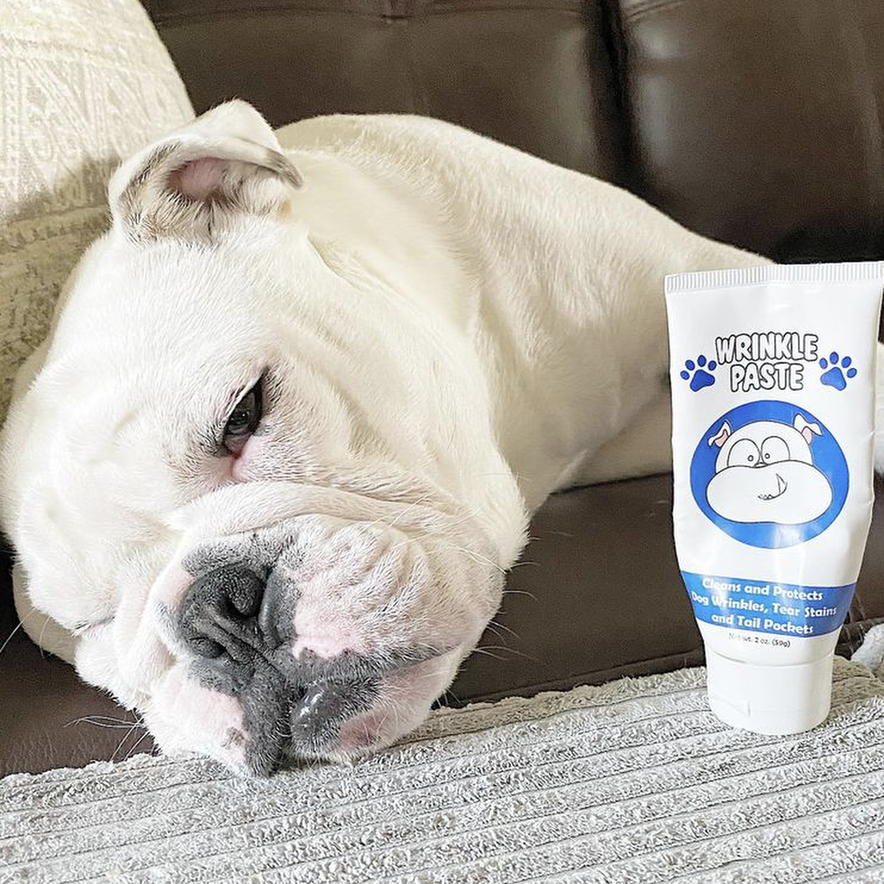 How to calm a hyper best sale english bulldog