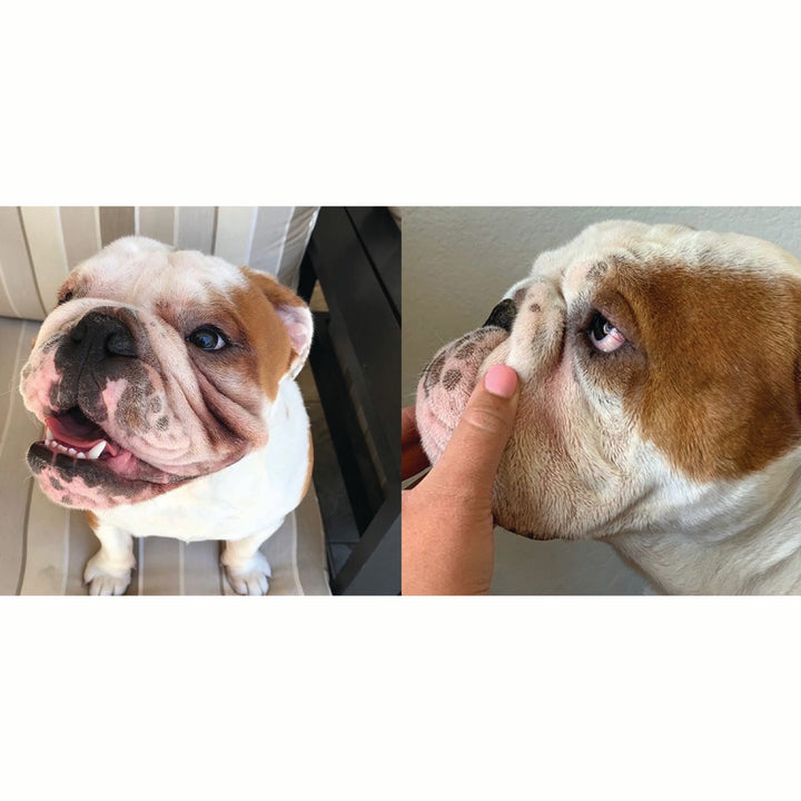 Wrinkle Wipes & Paste Bundle - Best Selling Duo Cleans & Protects Dog Wrinkles, Tear Stains and Tail Pockets!