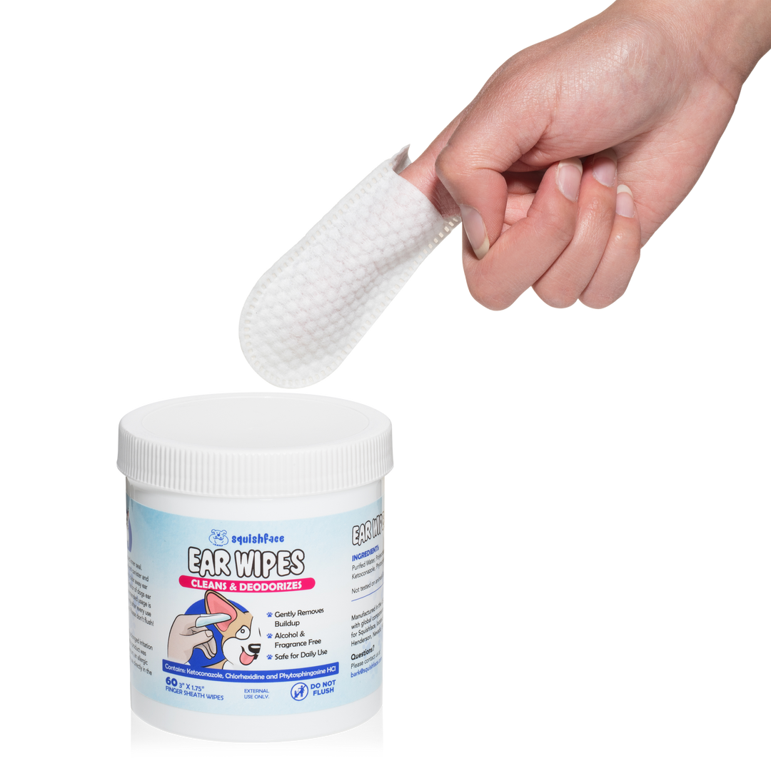 Hand holding a white ear wipe above a container of ear wipes with a white background