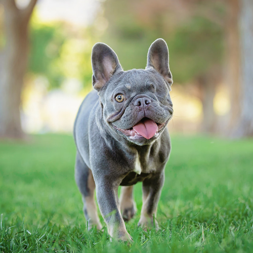 Squishface Mascot Minnie