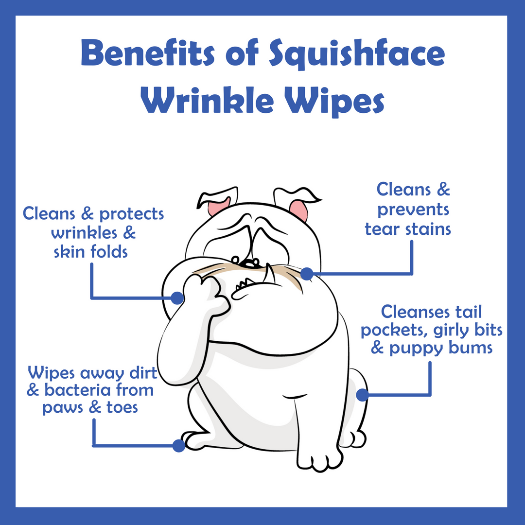 Benefits of Squishface