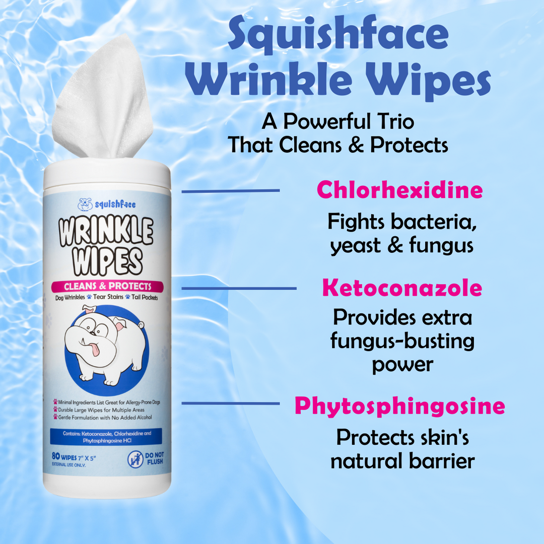 Dog wrinkle wipe graphic