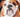 Squishface English bulldog wrinkly puppy