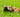 picture of a corgi and bulldog lying in the grass