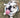 picture of an english bulldog sitting outside