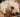 Squishface maltipoo dog tear stains