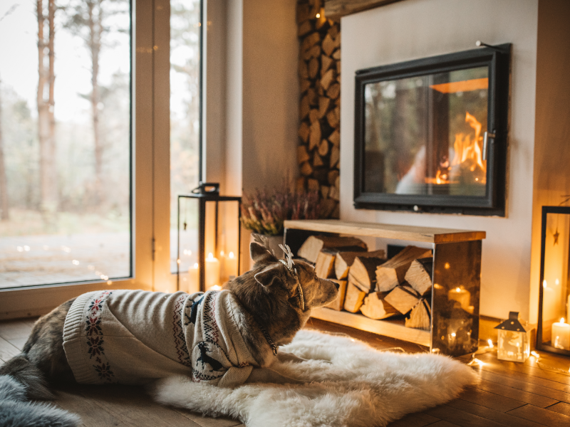 Picture of dog sitting by fireplace