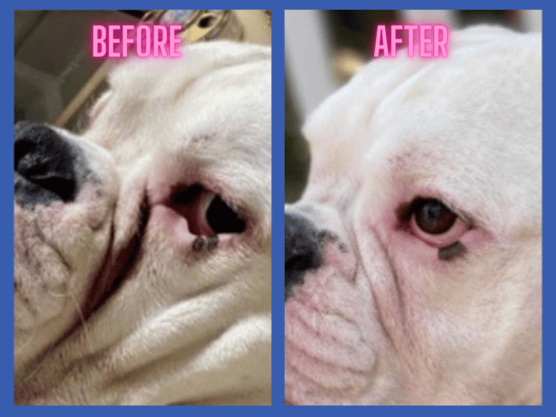 Squishface before & after - Wrinkle Paste