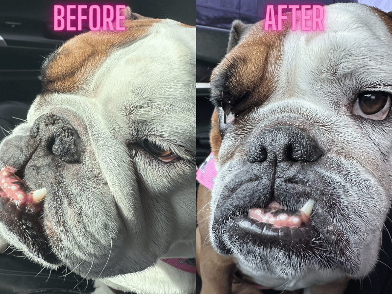 Squishface nose balm before and after picture