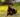 picture of a doberman dog lying in the grass