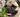 picture of a pug dog with a crusty nose