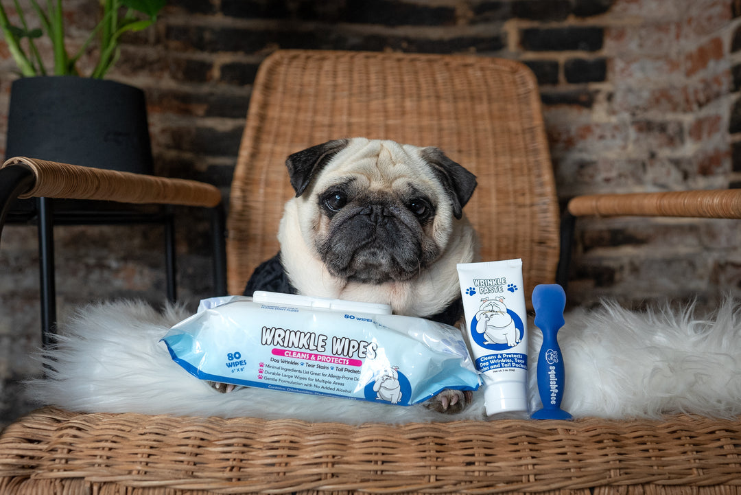 Pug with Squishface Products