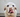Food Allergies in Dogs: Everything You Need to Know