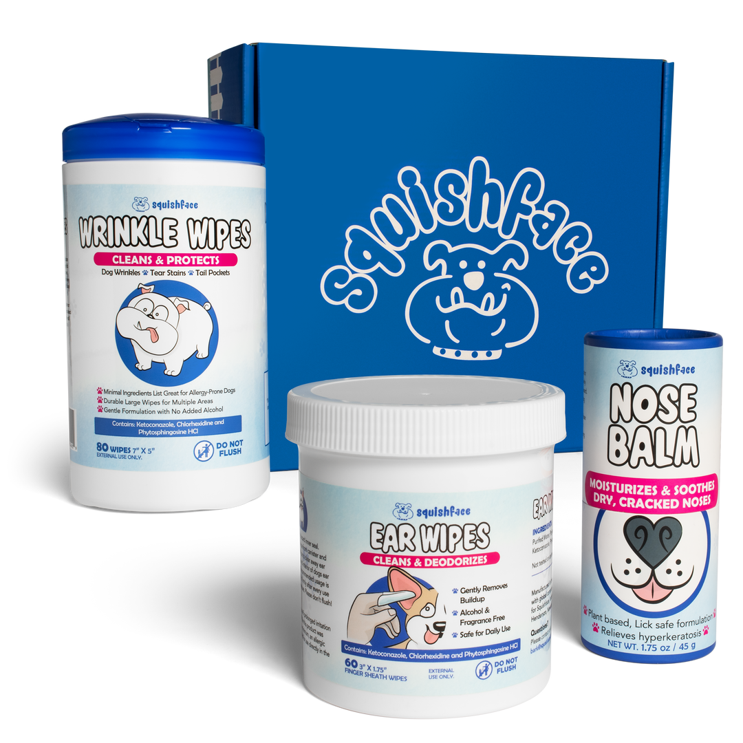 Collection of Squishface pet care products including wrinkle wipes, ear wipes, and nose balm with a blue branded box in the background.