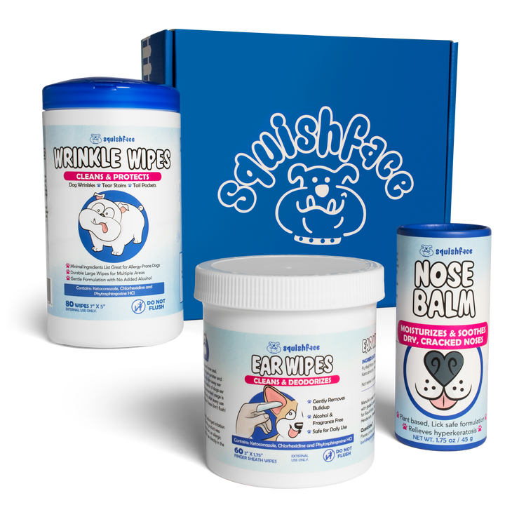 Collection of Squishface pet care products including wrinkle wipes, ear wipes, and nose balm with a blue branded box in the background.