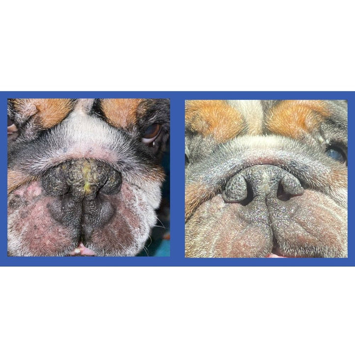 Squishface Nose Balm Before & After 1