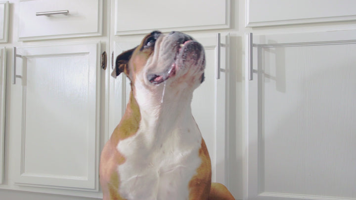 Squishface Slobber Towel – Keep Drool Under Control